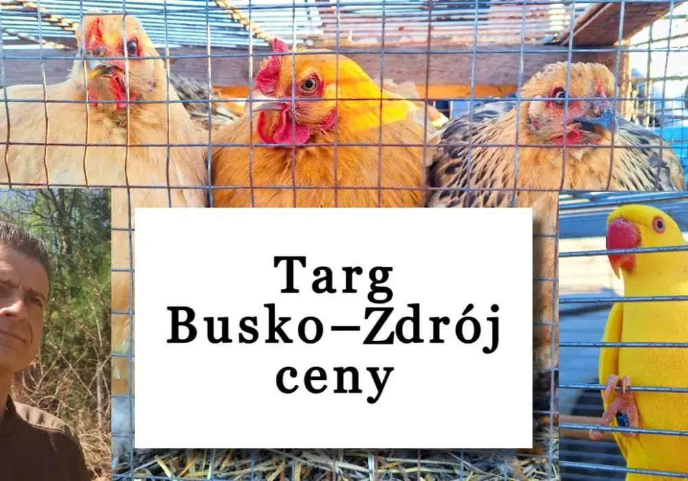 Kiedy jest giełda zwierząt w Busku-Zdroju? Sprawdź szczegóły!