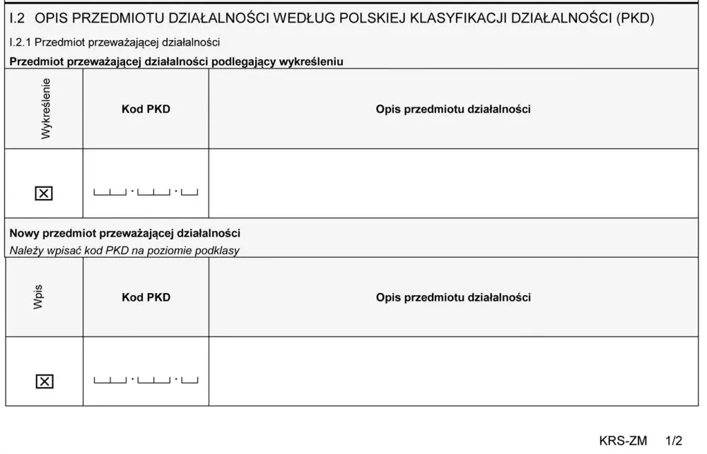 Ile PKD w KRS? Sprawdź, co grozi firmom z nadmiarem kodów