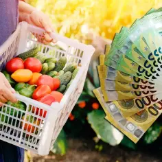 Ile można zarobić na zbiorach za granicą? Sprawdź realne zarobki