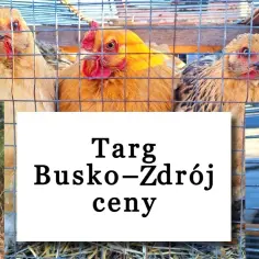 Kiedy jest giełda zwierząt w Busku-Zdroju? Sprawdź szczegóły!