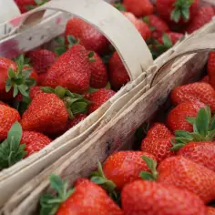 Ile można zarobić na truskawkach? Fakty, które mogą zaskoczyć