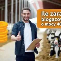 Ile można zarobić na biogazowni? Zaskakujące zyski i koszty inwestycji
