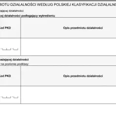 Ile PKD w KRS? Sprawdź, co grozi firmom z nadmiarem kodów