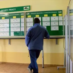 Osoba przegląda ogłoszenia o pracę na tablicy w urzędzie. To obraz polskiego rynku pracy.
