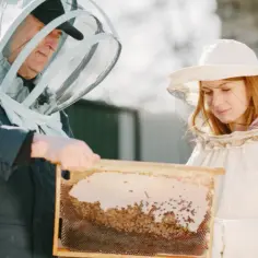 Ile można zarobić na pasiece? Sprawdź, co wpływa na zyski