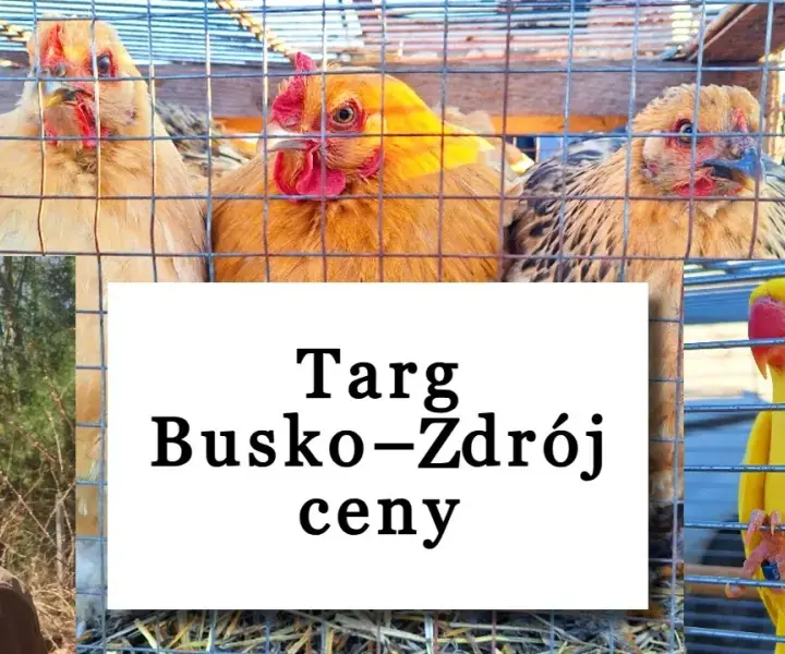 Kiedy jest giełda zwierząt w Busku-Zdroju? Sprawdź szczegóły!