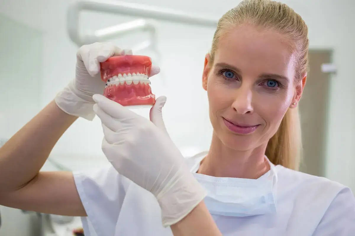 Dentystka w białej rękawiczce pokazuje model szczęki z aparatem ortodontycznym. Zastanawiasz się, ile zarabia dentysta?