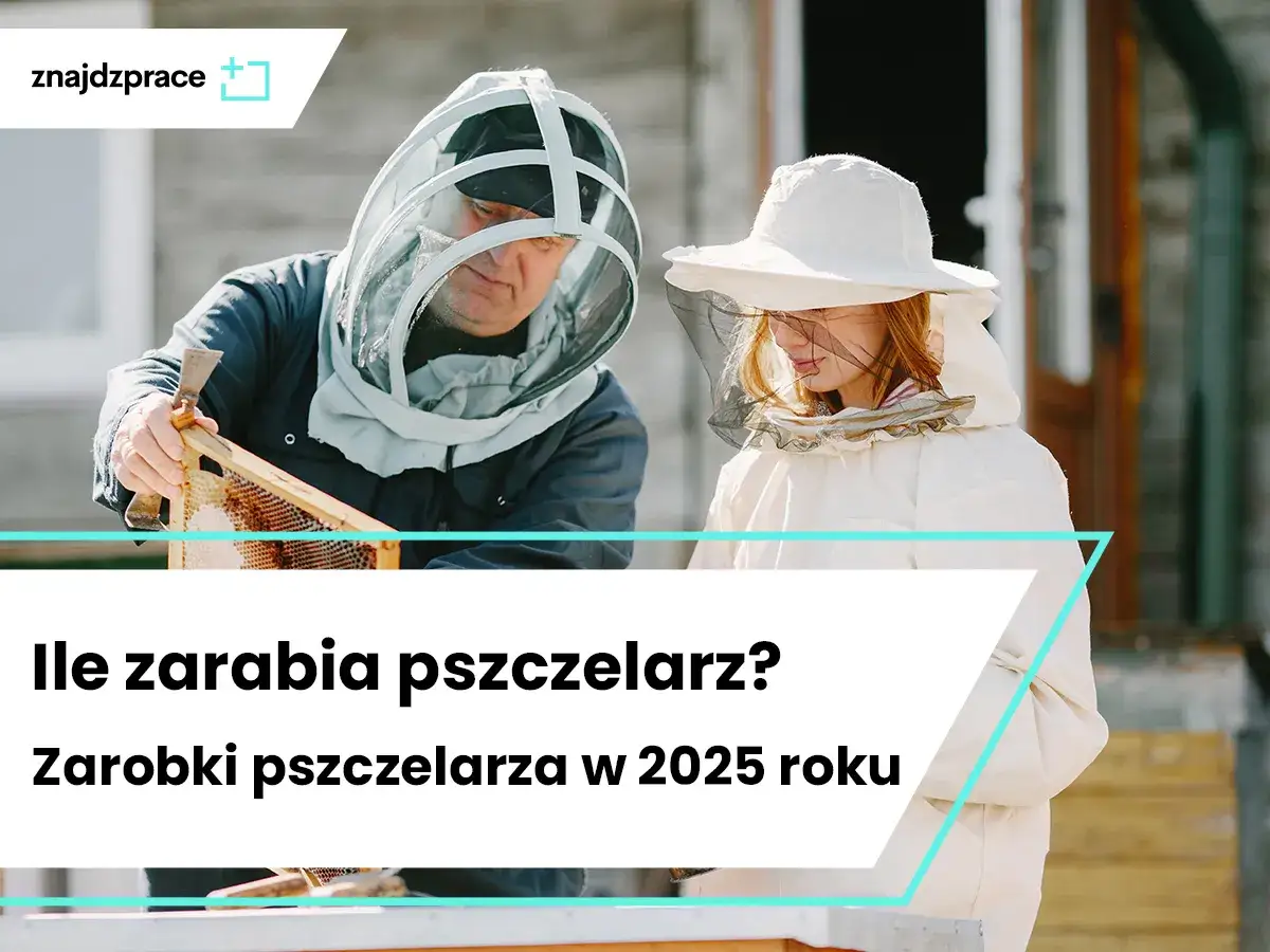 Zdjęcie Ile można zarobić na pasiece? Sprawdź, co wpływa na zyski