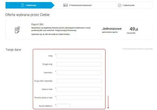 Raport BIK - co zawiera i jak sprawdzić błędy w danych?