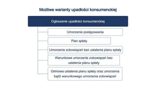 Upadłość konsumencka - koszty, wniosek i plan spłaty